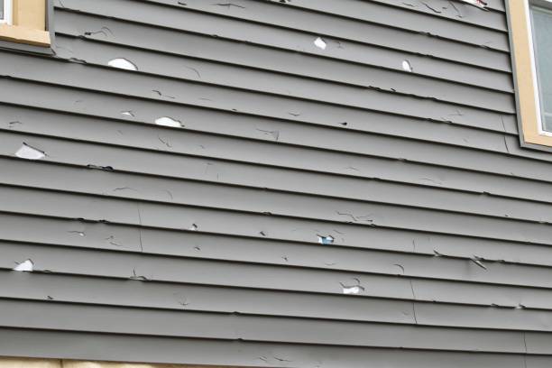 Best Attic Cleanout  in Crawfordsville, IN